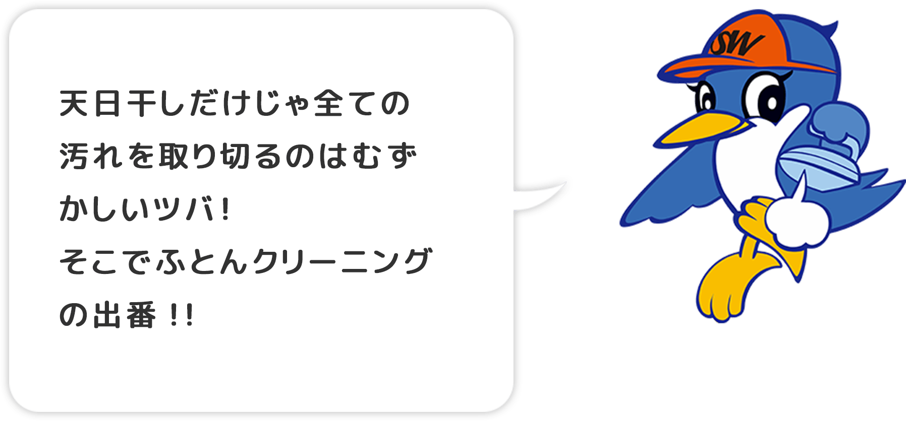 かんたんに出せる宅配クリーニング クリーニングのスワローチェーン