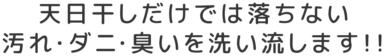 天日干しだけでは落ちない汚れ・ダニ・臭いを洗い流します！！