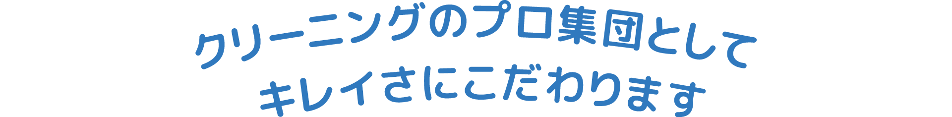 クリーニングのプロ集団としてキレイさにこだわります