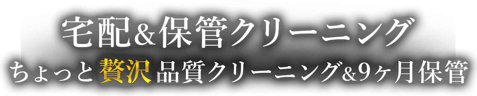 スワローチェーンの贅沢品質 保管宅配クリーニング