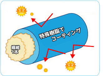 繊維の画像