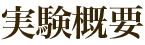 実験概要