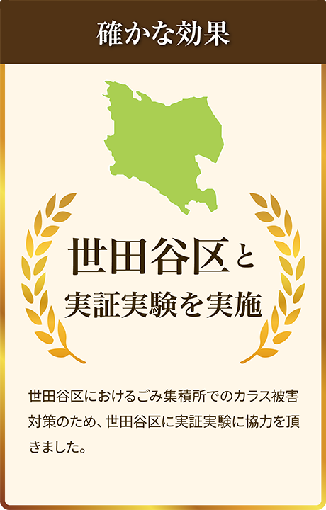 確かな効果